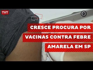 Cresce procura por vacinas contra Febre Amarela em SP