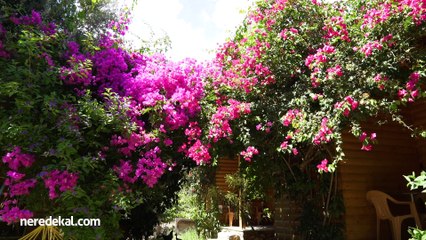 Mihricem Ahşap Evler