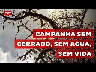 Organizações se unem em campanha "Sem cerrado, sem água, sem vida"