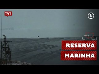 Acordo internacional cria a maior reserva marinha do planeta