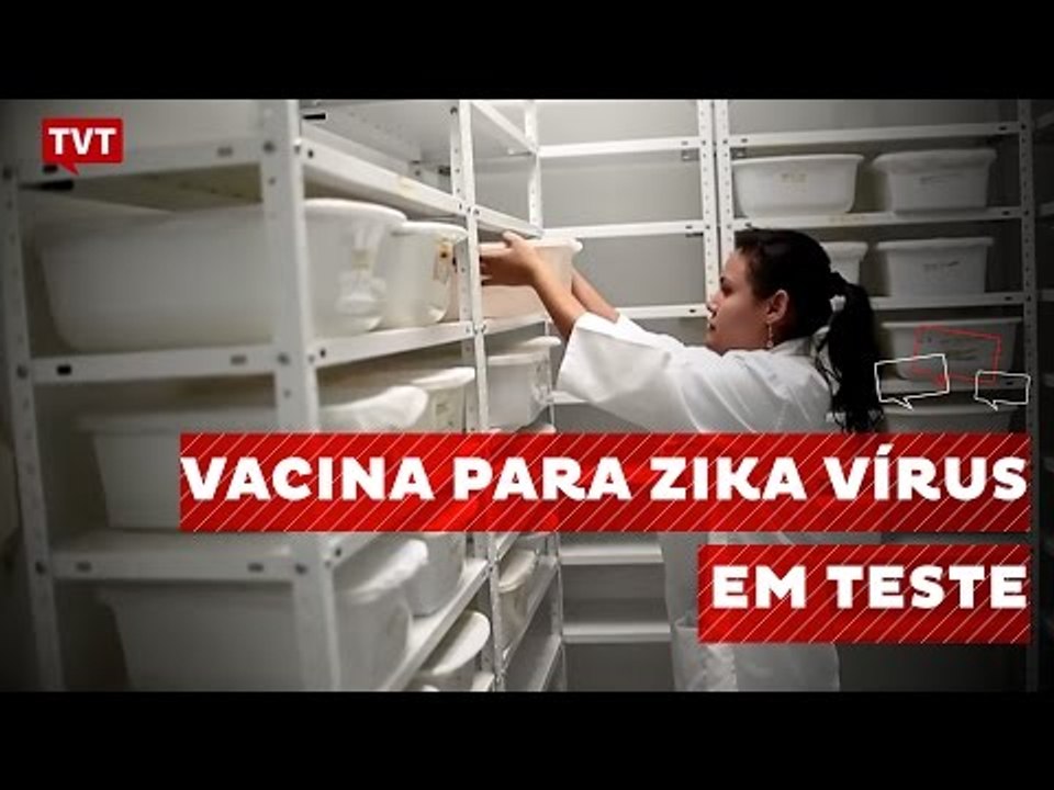 Nova vacina contra zika entra em fase de testes em humanos nos EUA