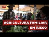 Pequenos agricultores do Rio temem corte de investimentos