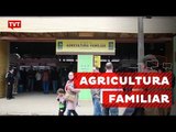 Agricultura familiar em destaque na Expointer