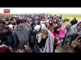 Suécia vai mandar refugiados embora