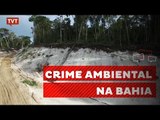 Índios tupinambá denunciam crime ambiental no Sul da Bahia