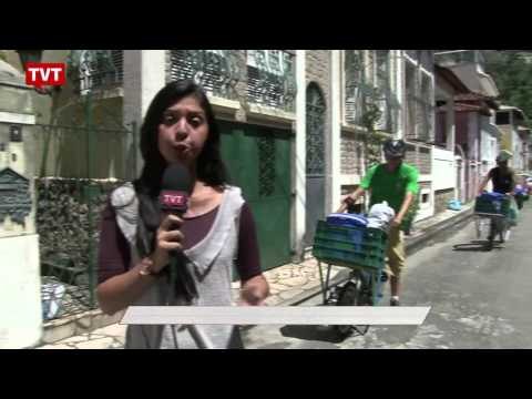 Restos de frutas, verduras e legumes viram negócio ecológico