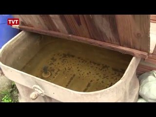 Mogi das Cruzes reforça combate ao mosquito da dengue