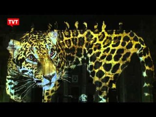 Show de luzes no Vaticano lembra importância da natureza