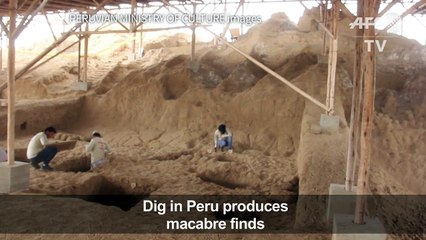 Twenty-four 500-year-old funerary bundles discovered in Peru