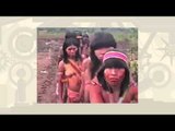 Vídeo Popular – 30 anos depois: Vídeo nas aldeias parte 1 1/2