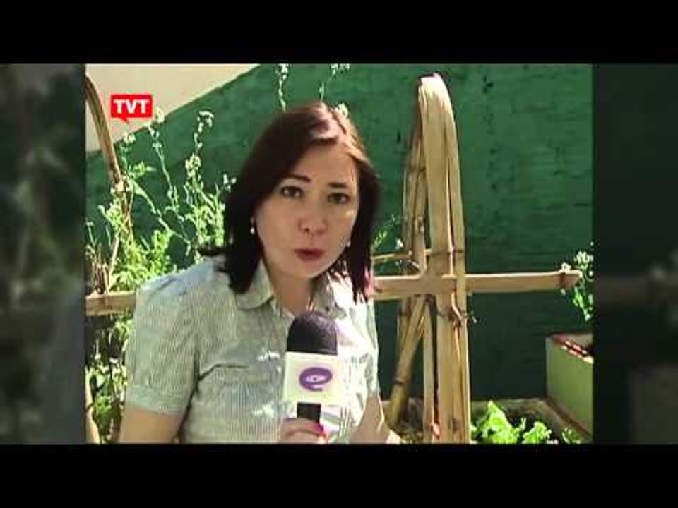 Em pequenos espaços, moradora de condomínio cria hortinha orgânica