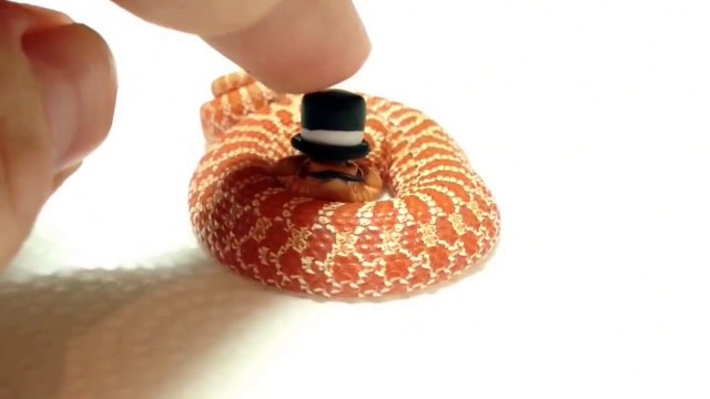 Ce petit serpent déguisé est juste ADORABLE