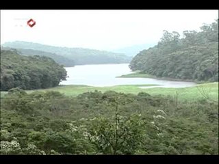 Texto base do novo Código Florestal é aprovado em Brasília