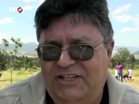 Alunos de escolas municipais em Mogi das Cruzes aprendem a plantar árvores