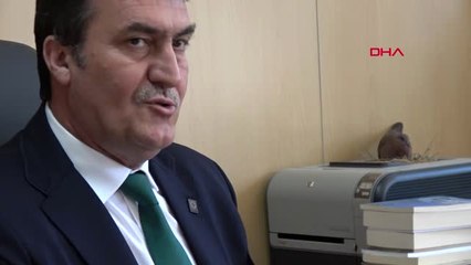 Bursa-Başkanın Makam Odasında Kumru Yuvası-Hd