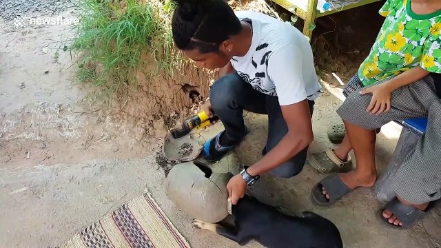 Adorable puppy rescued after getting head stuck in plant pot