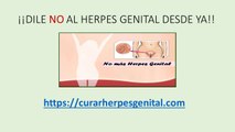 Herpes Genital Femenino Sinotmas