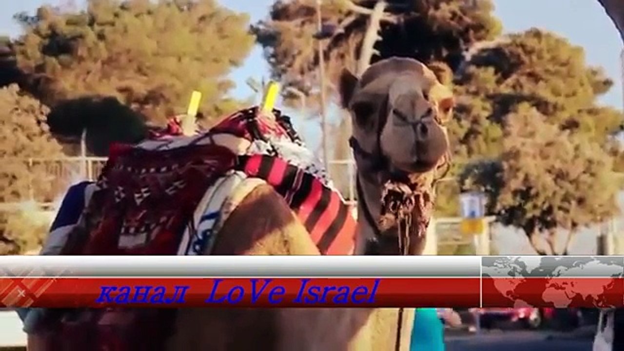 Хор еврейских мальчиков Mimkomcha Miami Boys Choir