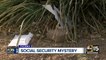 Hundreds of social security envelopes mysteriously sprawled out in Phoenix neighborhood