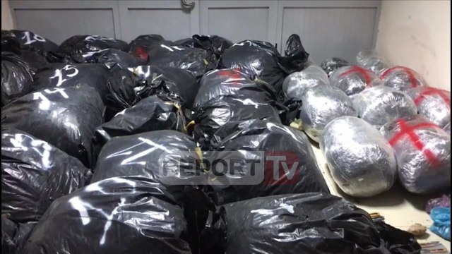 Report TV - Pamje ekskluzive/ Sekuestrohen 655 kilogramë kanabis në Tepelenë