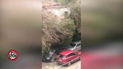 Stop - Tiranë, policia mbyll sytë për makinat në trotuare, nuk kursen ato, që ju zënë rrugën...!!!