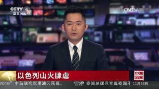 [中国新闻]以色列山火肆虐 | CCTV-4