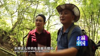 《走遍中国》 20161122 云和师傅走天下 | CCTV-4