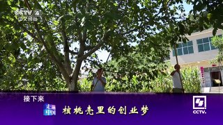 《走遍中国》 20161117 核桃壳里的创业梦 | CCTV-4