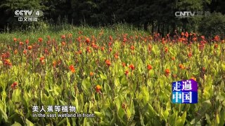 《走遍中国》 20161115 阳澄渔民的环保路 | CCTV-4