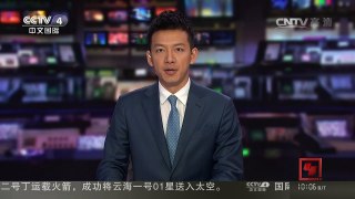 [中国新闻]日本对眼猫成新晋“网红” 坐拥14万粉丝 | CCTV-4