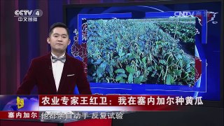 《华人世界》 20161109 | CCTV-4