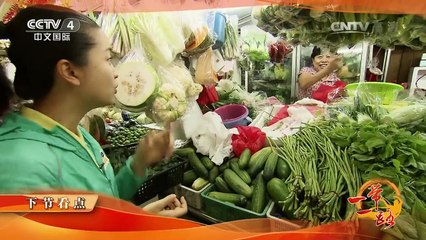 《远方的家》 20161031 一带一路（43）新加坡 行走狮城 别样精彩 | CCTV-4