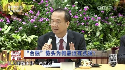 《海峡两岸》 20161029 “台独”势头为何最近有点猛？ | CCTV-4