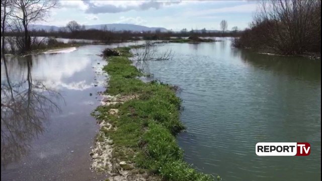 Report TV - Vazhdojnë përmbytjet në Shkodër, mbi 2000 hektarë toke nën pushtetin e ujit!