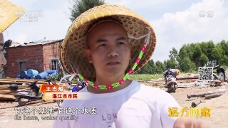 《远方的家》20161017 一带一路（33） 丝路起点“蚝”情湛江