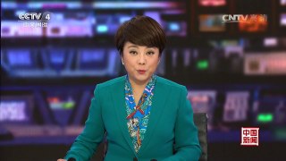 [中国新闻]金砖国家领导人第八次会晤在果阿举行
