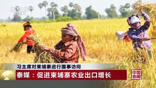 [中国新闻]习主席对柬埔寨进行国事访问 | CCTV-4