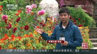 [中国新闻]走进西藏寺庙——喇嘛岭寺 | CCTV-4