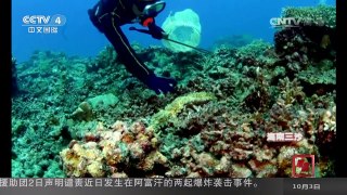 [中国新闻]江山如此多娇 纵览万里海疆 感受魅力中国海 | CCTV-4