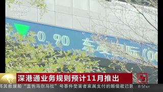 [中国新闻]深港通业务规则预计11月推出 | CCTV-4