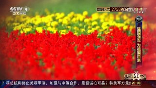 [中国舆论场]守卫祖国边疆官兵为国庆献祝福 | CCTV-4