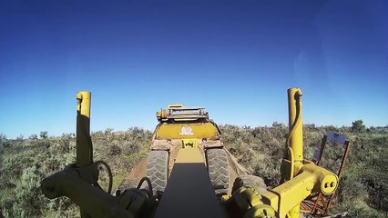 Caterpillar Baby Scraper On The Lava Flows