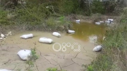 Ora News - Sekuestrohet sasi e madhe kanabisi ne Novoselë të Vlorës