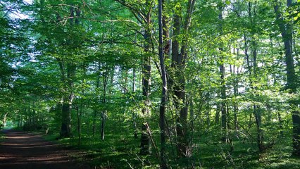 Denmark  Næstved  Herlufholm