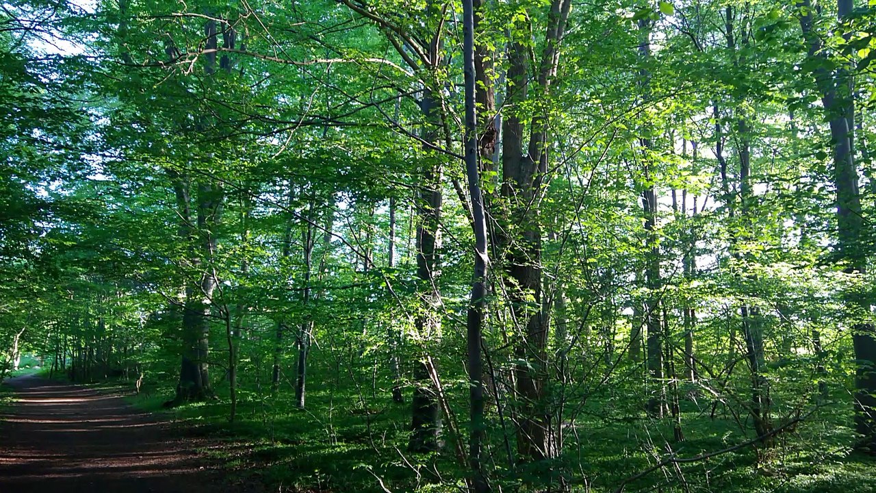 Denmark  Næstved  Herlufholm