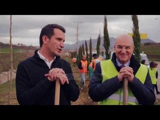 Veliaj: Kemi mbjellë 95 mijë pemë - Top Channel Albania - News - Lajme