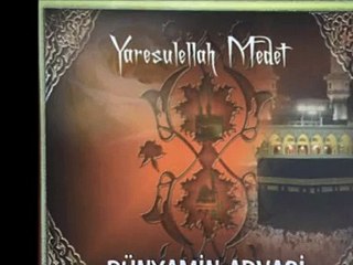 Bünyamin Arvasi - Nasib Eyle