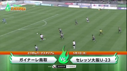 ガイナーレＴＲＩＢＥ