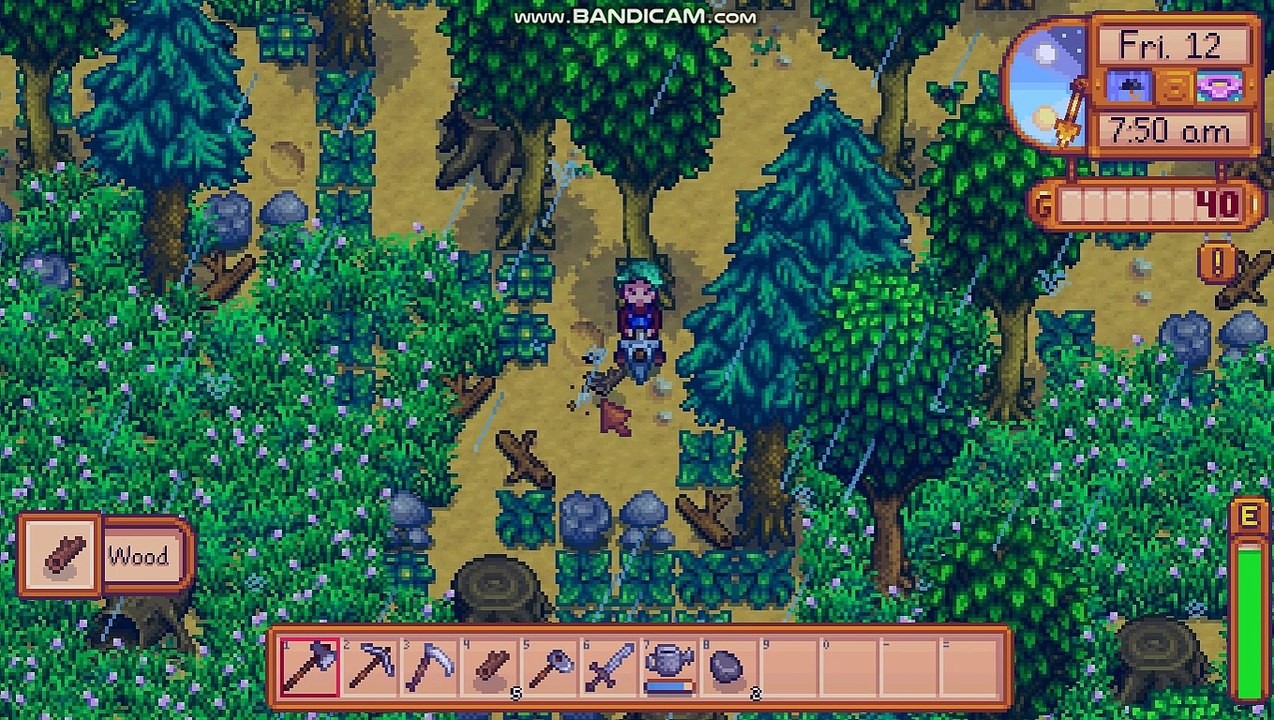Stardew Valley 9