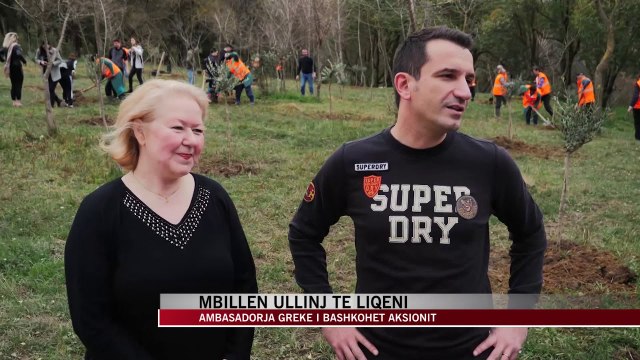 Mbillen ullinj te Liqeni Artificial - News, Lajme - Vizion Plus